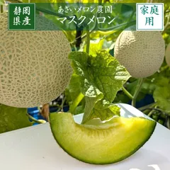 メロン 【あさいメロン農園】 マスクメロン アールスメロン 1玉 1.3kg 家庭用 静岡県磐田市のサムネイル