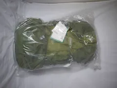 【未使用】Coleman Mt.TREK 30 マウントトレックライト30 バックパック グリーン CBB4071GR