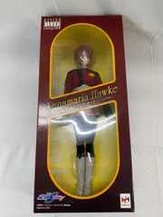 デスティニーV 限定海外版 フィギュアセット imgrc0101571598.jpg