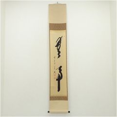 美品 掛け軸 戸上明道作「瀧」玉瀧寺 共箱 禅語 夏掛け - メルカリ