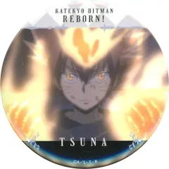 【中古】バッジ・ピンズ 沢田綱吉(顔アップ) 缶バッジ 「家庭教師ヒットマンREBORN! ラッキー缶バッジBOX -vol.3-」