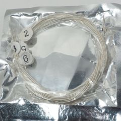 Item thumbnail for item 4607a911-7e15-4d5b-bd95-dcb416497122