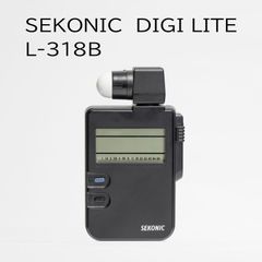 Item thumbnail for item 16f2c707-d841-4cb6-89de-73d9e2506e6e