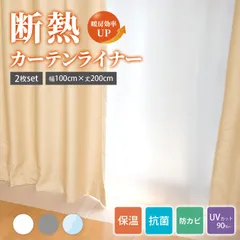 断熱カーテンライナー ビニールカーテン 100cm×200cm 採光タイプ 遮光タイプ 断熱 冷気遮断 節電 暑さ 冷気を防ぐ 省エネ 抗菌 防カビ UVカット 結露対策 無地 透明 送料無料 明和グラビアのサムネイル