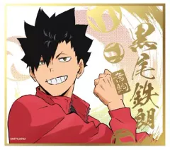 【中古】紙製品 黒尾鉄朗 「ハイキュー!! ビジュアル色紙コレクション4」