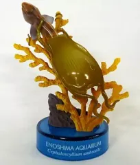 【中古】トレーディングフィギュア ナヌカザメ 「新江ノ島水族館立体生物図録2」のサムネイル