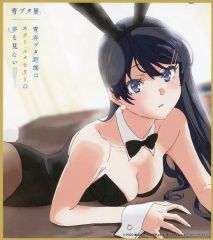 [중고] 캐릭터 카드 사쿠라지마 마이 타무라 사토미 신작 미니 색종이 스타일 일러스트 카드 [청춘 돼지 놈은 스쿨 메모리의 꿈을 보지 않는다 -푸른 돼지 전-] 입장자 특전