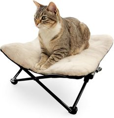 Item thumbnail for item 08b4099d-9ef4-4ba9-89bf-5ac053cf39b5