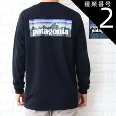 種類2:BLACK /S 種類1:BLACK　(BLK)/XS パタゴニア ロンT 長袖 Tシャツ メンズ P-6 ロゴ レスポンシビリティー ブラック ブルー Patagonia 38518