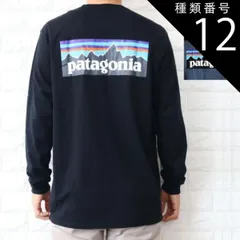 種類12:BLUE /XXL 種類1:BLACK　(BLK)/XS パタゴニア ロンT 長袖 Tシャツ メンズ P-6 ロゴ レスポンシビリティー ブラック ブルー Patagonia 38518
