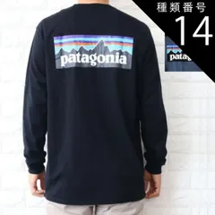 種類14:WHITE /S 種類1:BLACK　(BLK)/XS パタゴニア ロンT 長袖 Tシャツ メンズ P-6 ロゴ レスポンシビリティー ブラック ブルー Patagonia 38518