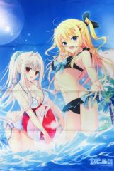 Fate セイバー 水着 タペストリー - メルカリ