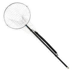 Item thumbnail for item ba8f1d22-d08a-46f7-91b0-101e3e97a916