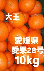 2026年最新】愛果28号 10kgの人気アイテム - メルカリ