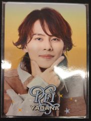 サイン入り 田淵行男 生態写真ギフチョウ・ヒメギフチョウ 函入 - メルカリ