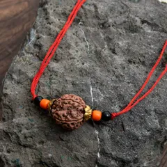 【5面】 インドの数珠 - ルドラクシャのカヴァチ（ブレスレット） / ブレスレット ビーズ アクセサリー 腕輪 ゴール