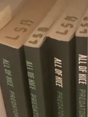 キム・スンリ 様 オールオカ An Ode 文学