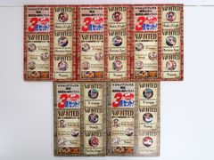 5点セット Vジャンプブックス限定 特別ふろく 尾田先生の原作イラスト