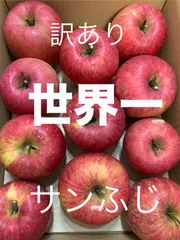 りんご　青森県産　世界一のサンふじ　訳あり　約3キロ