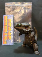 2026年最新】フトアゴン 蓄光の人気アイテム - メルカリ