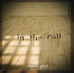 2026年最新】Amber gris cdの人気アイテム - メルカリ