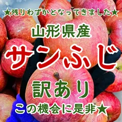 ★東北〜関西エリア専用★残りわずか★ 山形県産　小玉 サンふじ　4.5キロ前後　訳あり りんご 加工用にも
