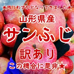 ★東北〜関西エリア専用★残りわずか★ 山形県産　小玉 サンふじ　9キロ前後　訳あり りんご 加工用にも