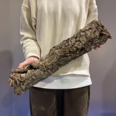 2026年最新】エアープランツ 希少の人気アイテム - メルカリ