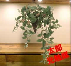 光触媒　人工観葉植物　ウォールグリーン　フェイクグリーン　エミリーツートンローズ 光触媒 人工観葉植物 ウォールグリーン フェイクグリーン エミリー