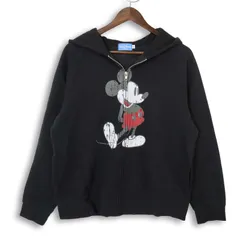 Tokyo Disney RESORT 東京ディズニーリゾート 限定 ミッキー 耳付き★ スウェット 裏起毛 ジップ パーカー Sz.L　レディース