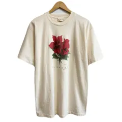 90's vintage ビンテージ USA製 PLANT THE EARTH フロントプリント FLOWERS 花 ポインセチア シングルステッチ 半袖Tシャツ アイボリー キナリ Lサイズ No.M161