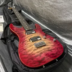 2026年最新】エレキギター シェクター 中古の人気アイテム - メルカリ