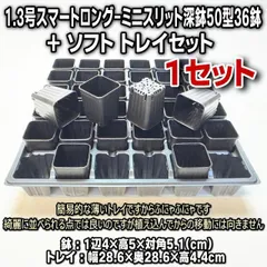 ミニプラ鉢専門店＊1.3号スマートロング-ミニスリット深鉢50型-黒36鉢＋トレイ薄(ソフト：ふにゃふにゃ)付×1セット＊多肉植物・塊根植物コーデックス・アガベ・サボテン・盆栽・観葉・ハオルチア・アデニウム・パキポディウム・実生@フラワーショップ江口