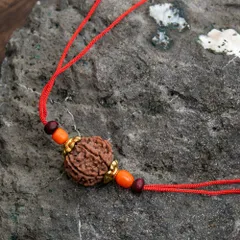 【6面】 インドの数珠 - ルドラクシャのカヴァチ（ブレスレット） / ブレスレット ビーズ アクセサリー 腕輪 ゴール