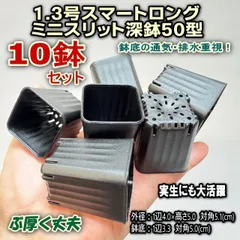 ミニプラ鉢専門店＊2号よりも小さく深めの1.3号スマートロング-ミニスリット深鉢50型-黒★スリット鉢★ぶ厚い高品質高機能ミニ鉢10鉢＊多肉・塊根植物コーデックス・アガベ・サボテン・ハオルチア・アデニウム・パキポディウム＊グラキリス・実生＠フラワーショップ江口