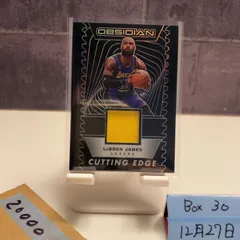 2024-25 Panini Obsidian LeBron James Los Angeles Lakers Cutting Edge ジャージ カード