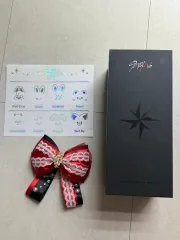 Stray Kids(ストレイキッズ・スキズ・SKZ) ペンライト ver 2