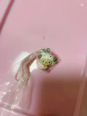 古典 ONE PIECE トニートニー・チョッパー キティーストラップ