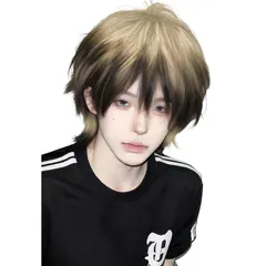【在庫処分】自然 普段使い かつら フルウィッグ イメチェン ショート 黒 男女兼用 ストレート 耐熱 男装 ウィッグ 小顔 ウィッグ グラデーション wig ウルフウィッグ ウィッグネット付 ウルフカット メンズ (ゴールドとブラック) Sofeiyan