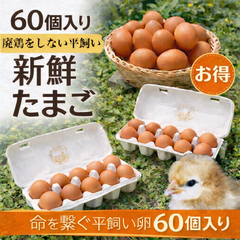 平飼い卵60個入り