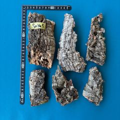 バージンコルク樹皮・コルク板（セット）No.5