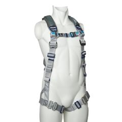 Item thumbnail for item 4ac5fda1-513d-4b84-b574-8be81e5807e4