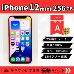 iPhone 12 mini 256GB レッド Aランク SIMフリー 動作確認済 フィルム貼り付けサービスあり！