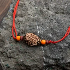 【3面】 インドの数珠 - ルドラクシャのカヴァチ（ブレスレット） / ブレスレット ビーズ アクセサリー 腕輪 ゴール