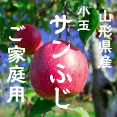 ★東北〜関西エリア専用★数量限定★ 山形県産　小玉 サンふじ　4.5キロ前後　ご家庭用 りんご