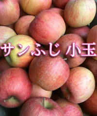 秋田県産りんご サンふじ小玉 約10kgのサムネイル