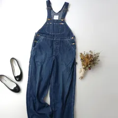 Lee リー HUMAN WOMAN ヒューマン ウーマン デニム サロペット オーバーオール M  (76E＋9907)26H