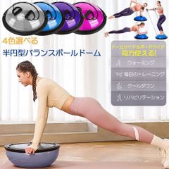 美坂式軽量振動運動法 バランスボール 鉄球 3㎏ ジャパンターナー 取説