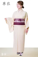 色無地 着物 洗える着物 単衣 単品 仕立て上がり 12カラー S/M/L/TL/BL PO-29 薄黄