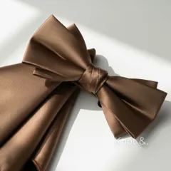 蝶ネクタイ　ポケットチーフ　ブラウン　2点セット |艶  無地  メンズ